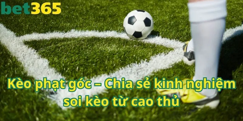 Kèo phạt góc – Chia sẻ kinh nghiệm soi kèo từ cao thủ